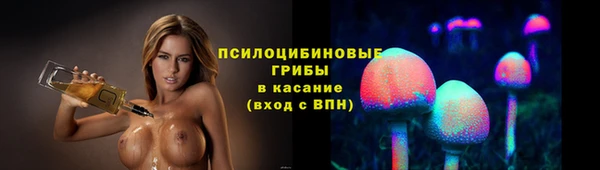 гашик Беломорск