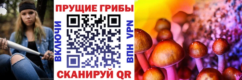 как найти   mega ТОР  Галлюциногенные грибы Psilocybine cubensis  Кондрово 